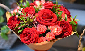 Daniel Patrick Driscoll (@danielpatr58399) on Twitter photo 