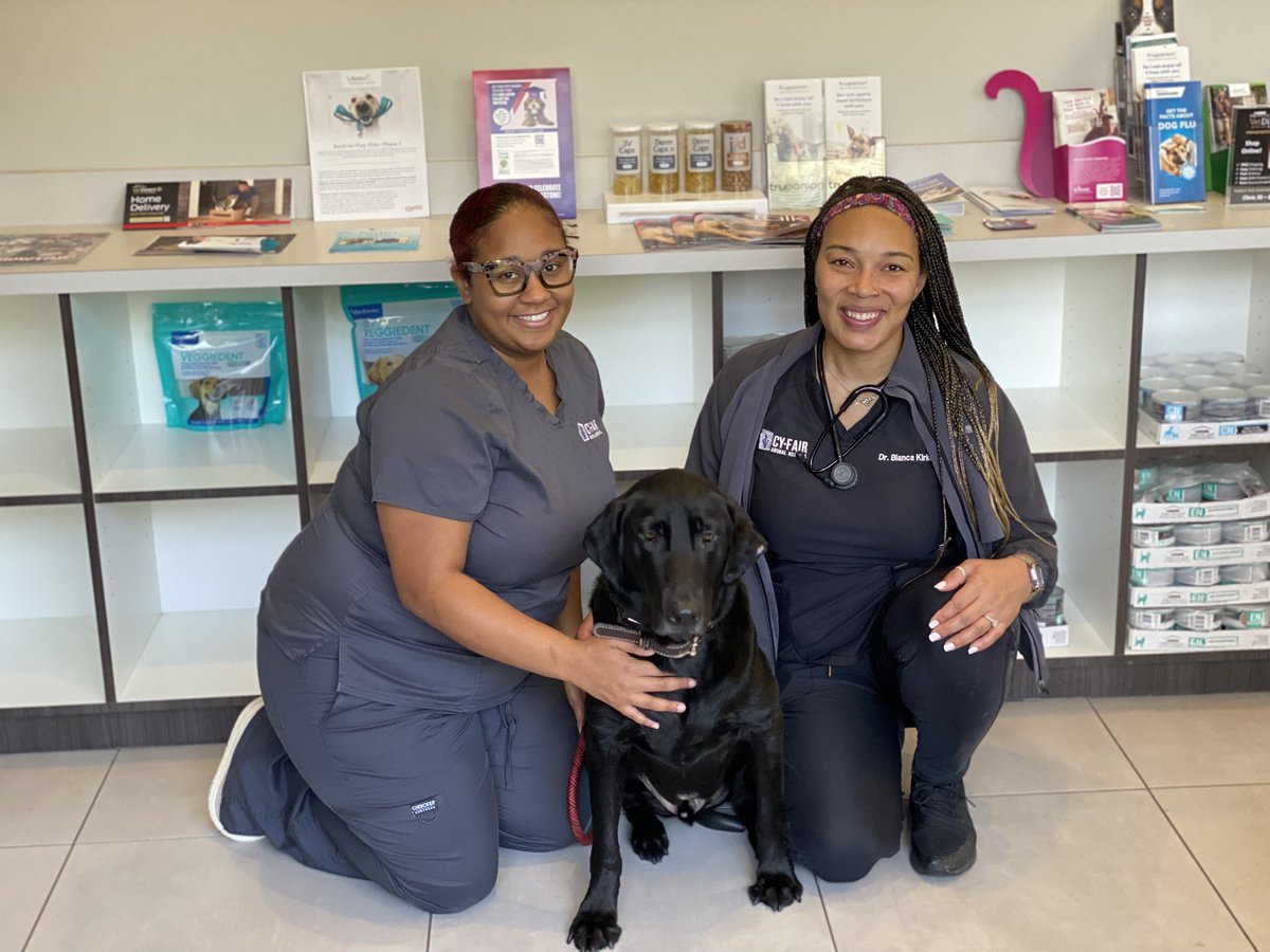 BearkatLenny's tweet photo. I got my check up yesterday with @CyFairAH. Thank you for sponsoring me and all of your support so I can be there with my @BlackBearkats. We are going to have a great 25-26 school year!
#INeedThemMoreThanTheyNeedMe #CampusComfortDog @CyFairISD https://t.co/nm4ByScUxL