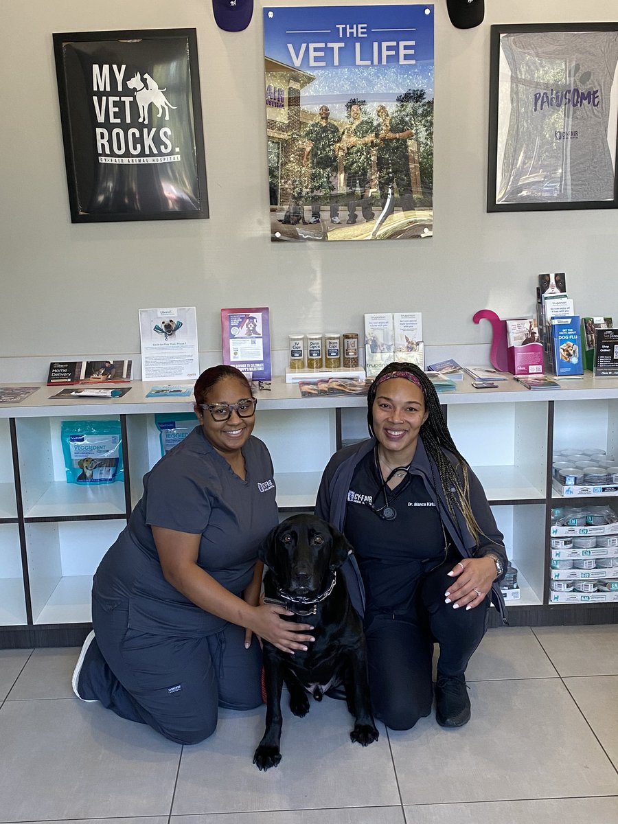 BearkatLenny's tweet photo. I got my check up yesterday with @CyFairAH. Thank you for sponsoring me and all of your support so I can be there with my @BlackBearkats. We are going to have a great 25-26 school year!
#INeedThemMoreThanTheyNeedMe #CampusComfortDog @CyFairISD https://t.co/nm4ByScUxL