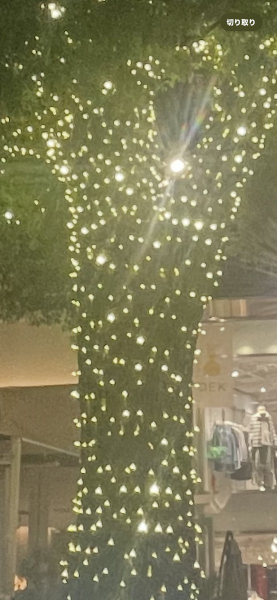 独り言。。
お洒落な街　東京・青山の中に入ったストリート。
電飾を巻かれた立派な樹木🌲がありました。
殆どの方は、「素敵〜✨」と眺めて、それを狙ったプランナーの企画だと思います。
が、私は樹木に申し訳なくて心が苦しくなりました。