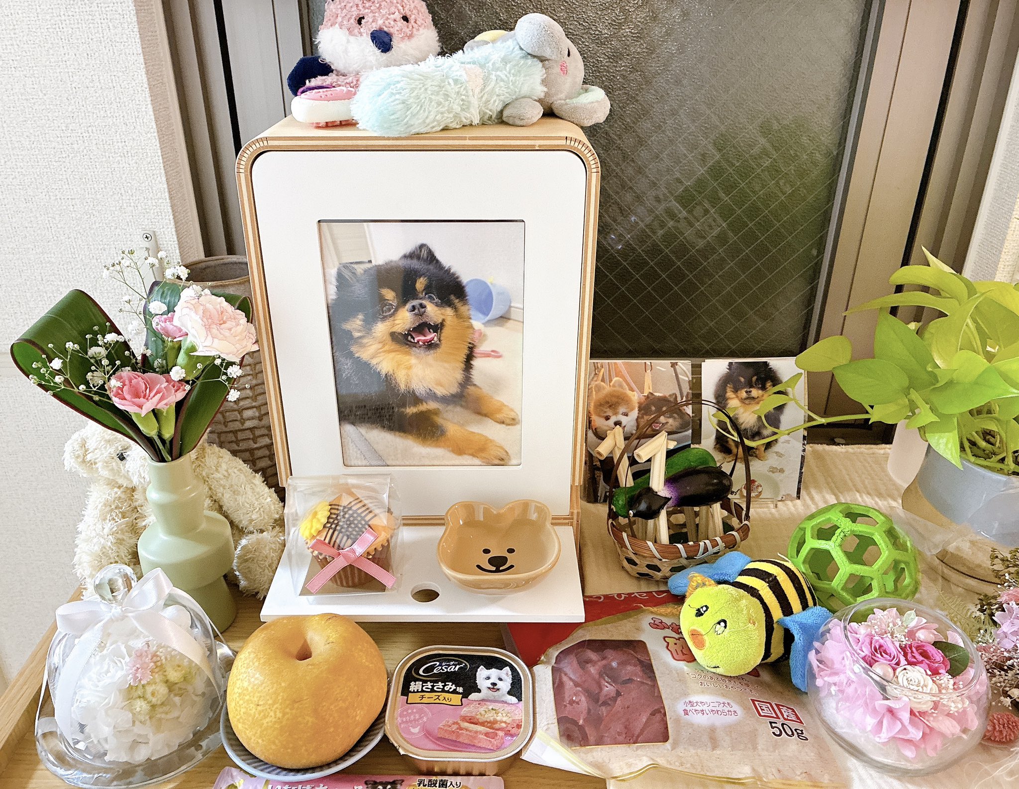 くまちゃん emzemz.631 エムズのソフビ 2025新作ちびクマちゃん Kuma chan