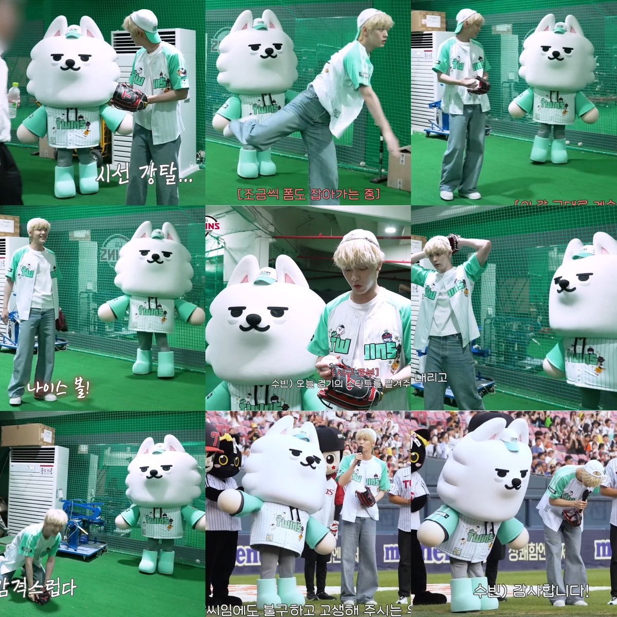 수호천사견 최용멍 ʚ🐶ɞ