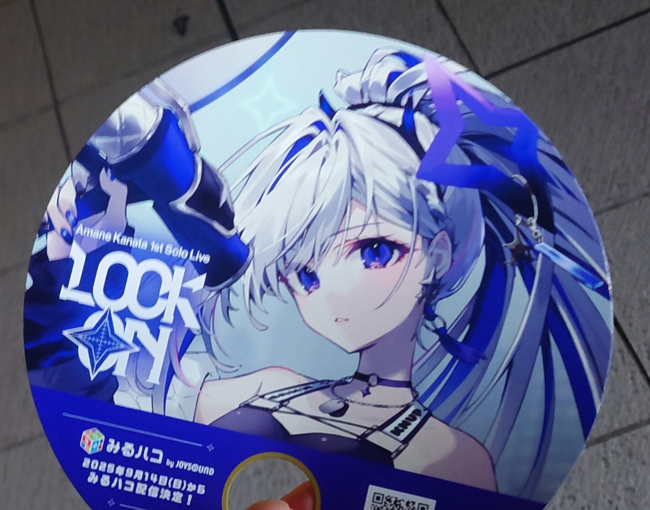 りんご傾奇者 信州りんご 紅玉 Jonathan こうぎょく 減農薬 特別栽培 信州飯綱