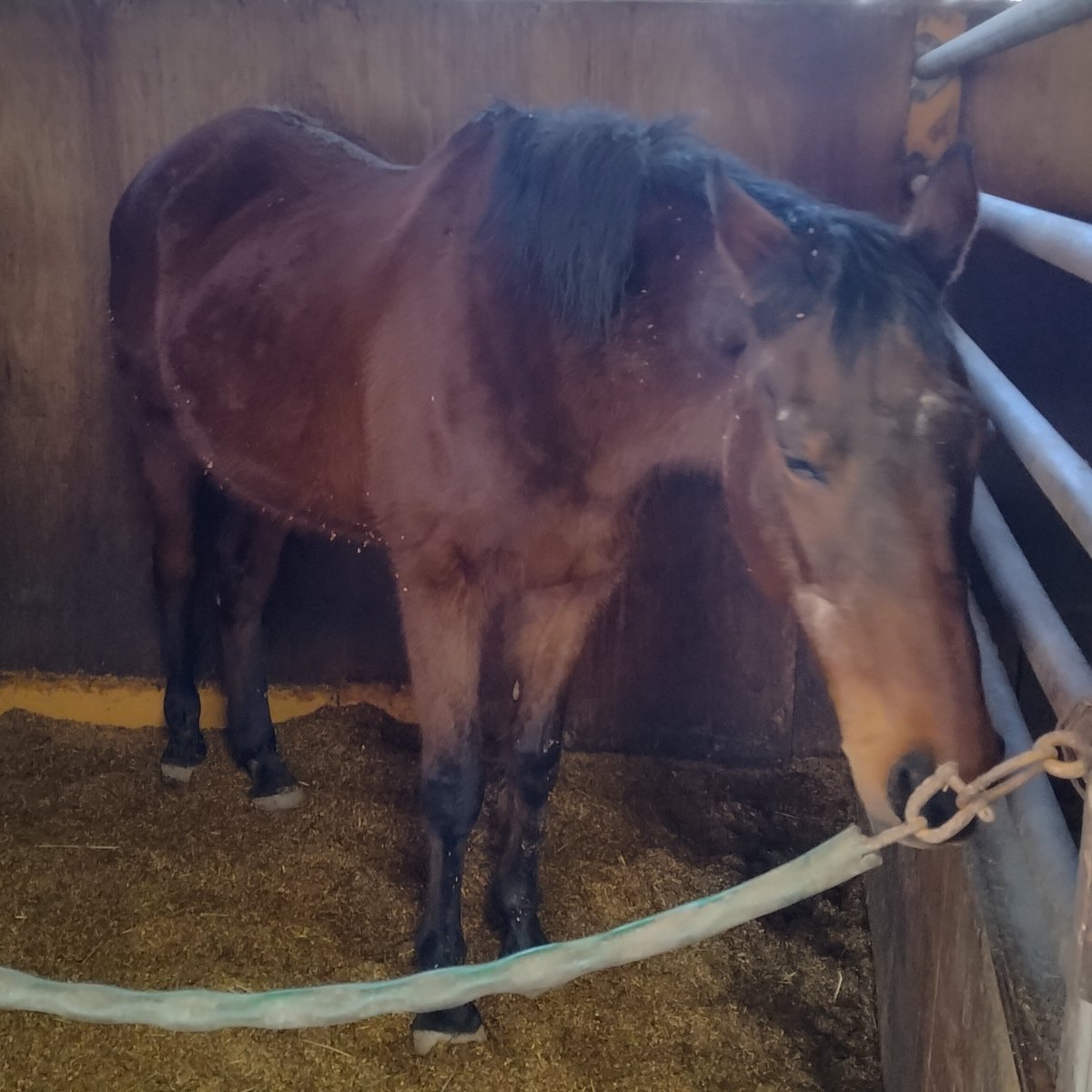 anime                             real life