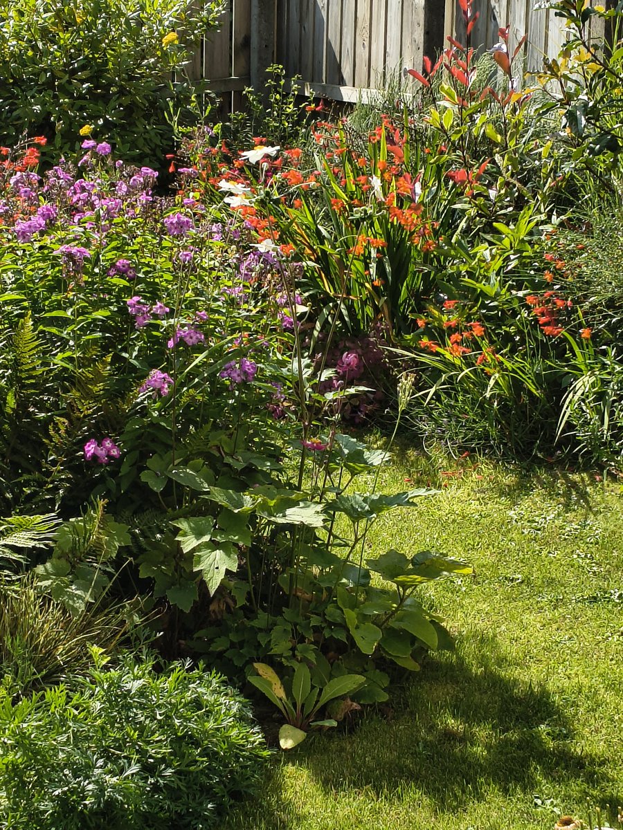 AnnaandPiotr's tweet photo. Summer small cottage garden https://t.co/nKOXBpr7Ij