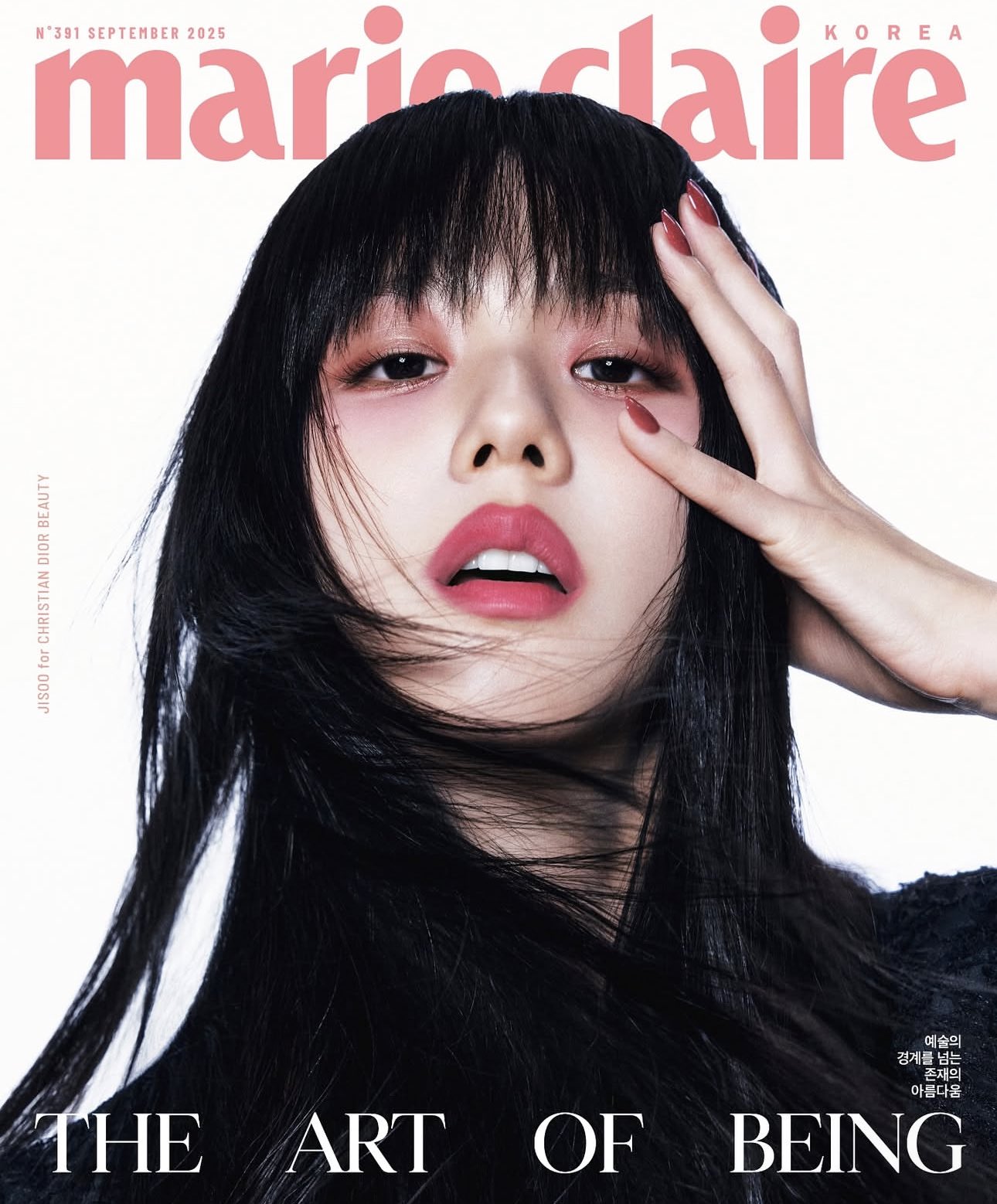 BLACKPINK Global News on X: 