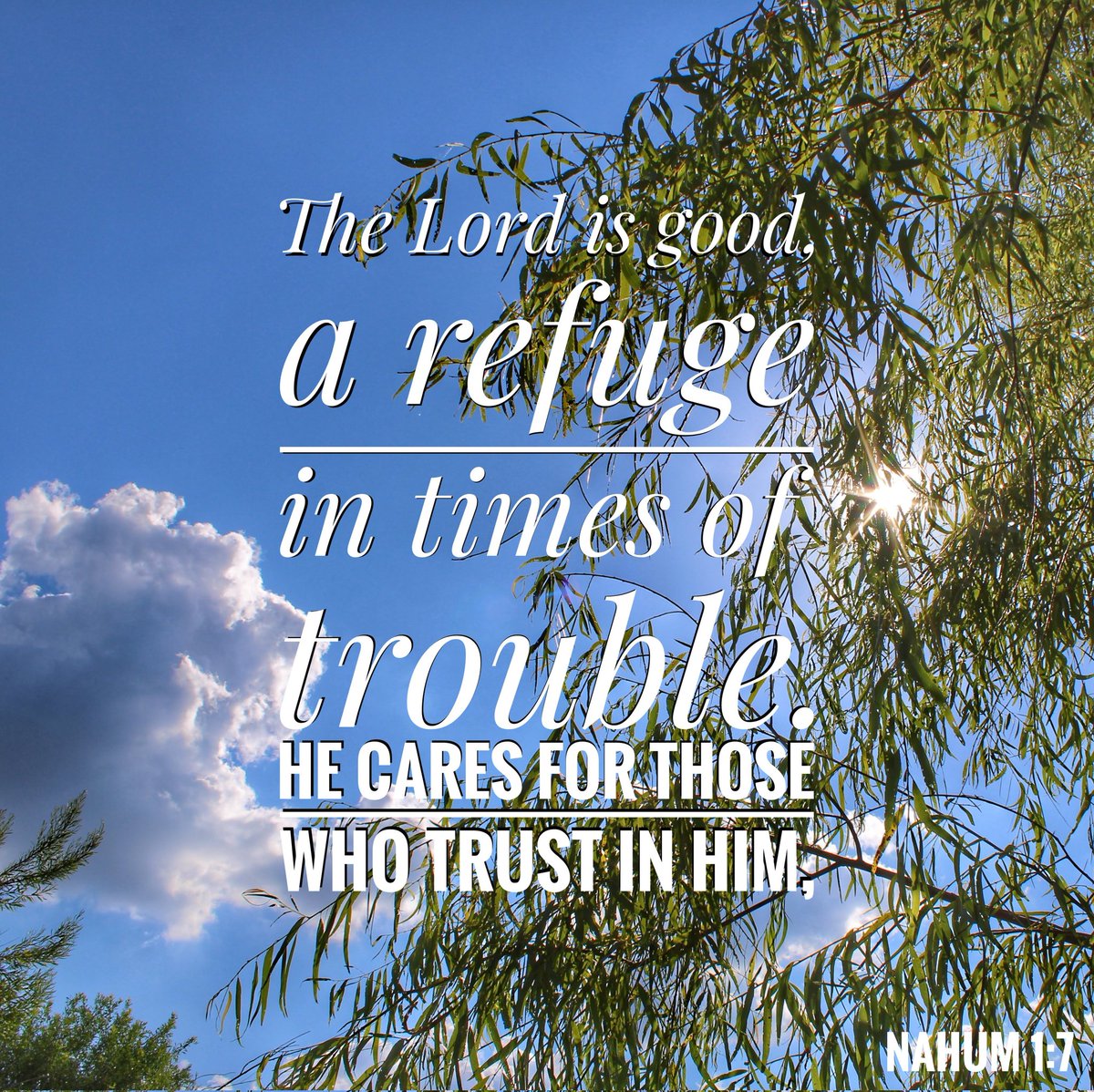 Michael P Ascani (@savlifeonline) on Twitter photo 