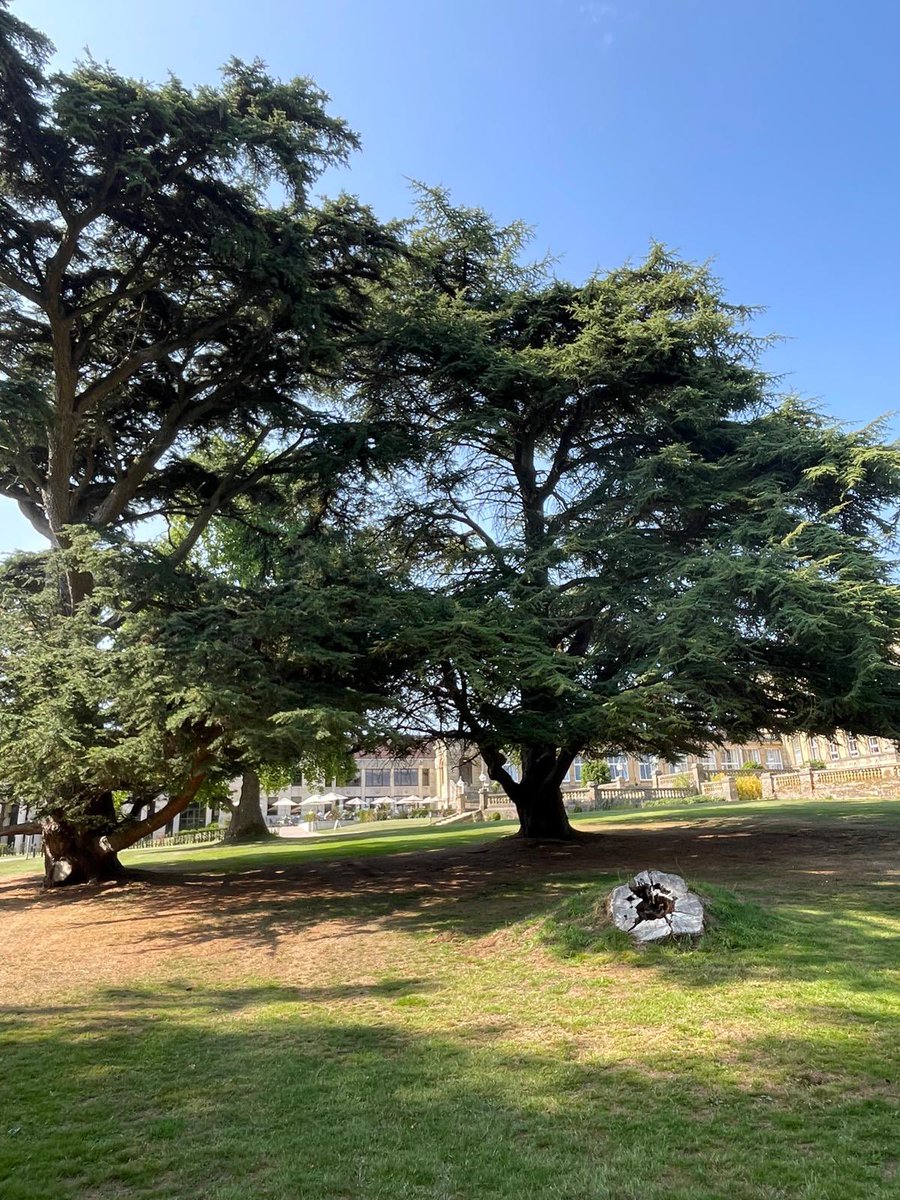 Well done to the ABC team and walking is a free physical activity and a wonderful boost for emotional well being. On a break enjoying the scenery, weather and slow walks.