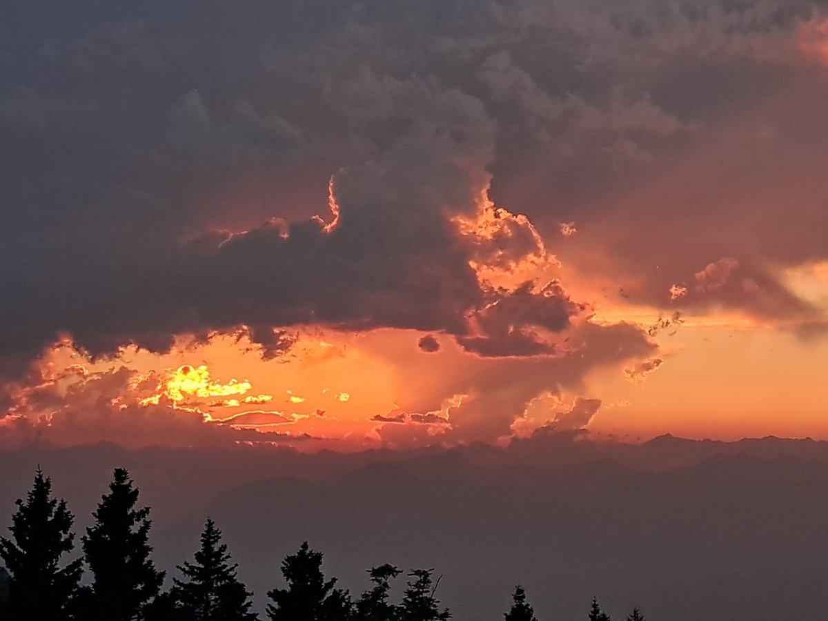☀️🌩️ Fino a Ferragosto un campo di pressione livellato manterrà temperature elevate con possibile sviluppo di locali temporali, soprattutto in prossimità dei rilievi ed al pomeriggio sera.
<a href="/dpcpat1/">Prot civile Trentino</a> <a href="/Meteotrentino/">Meteo Trentino</a> ⤵️
ufficiostampa.provincia.tn.it/Comunicati/Met…