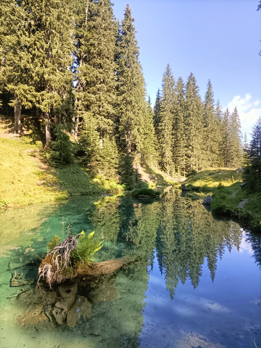 Here it's gonna be holydays till the weekend!!!
So excuse my even bigger quietness!!
I fell no pressure!! Enjoing it!!