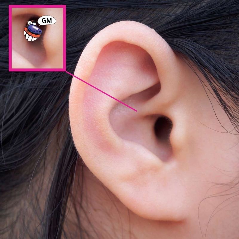 GM from your head, GM with $POGS