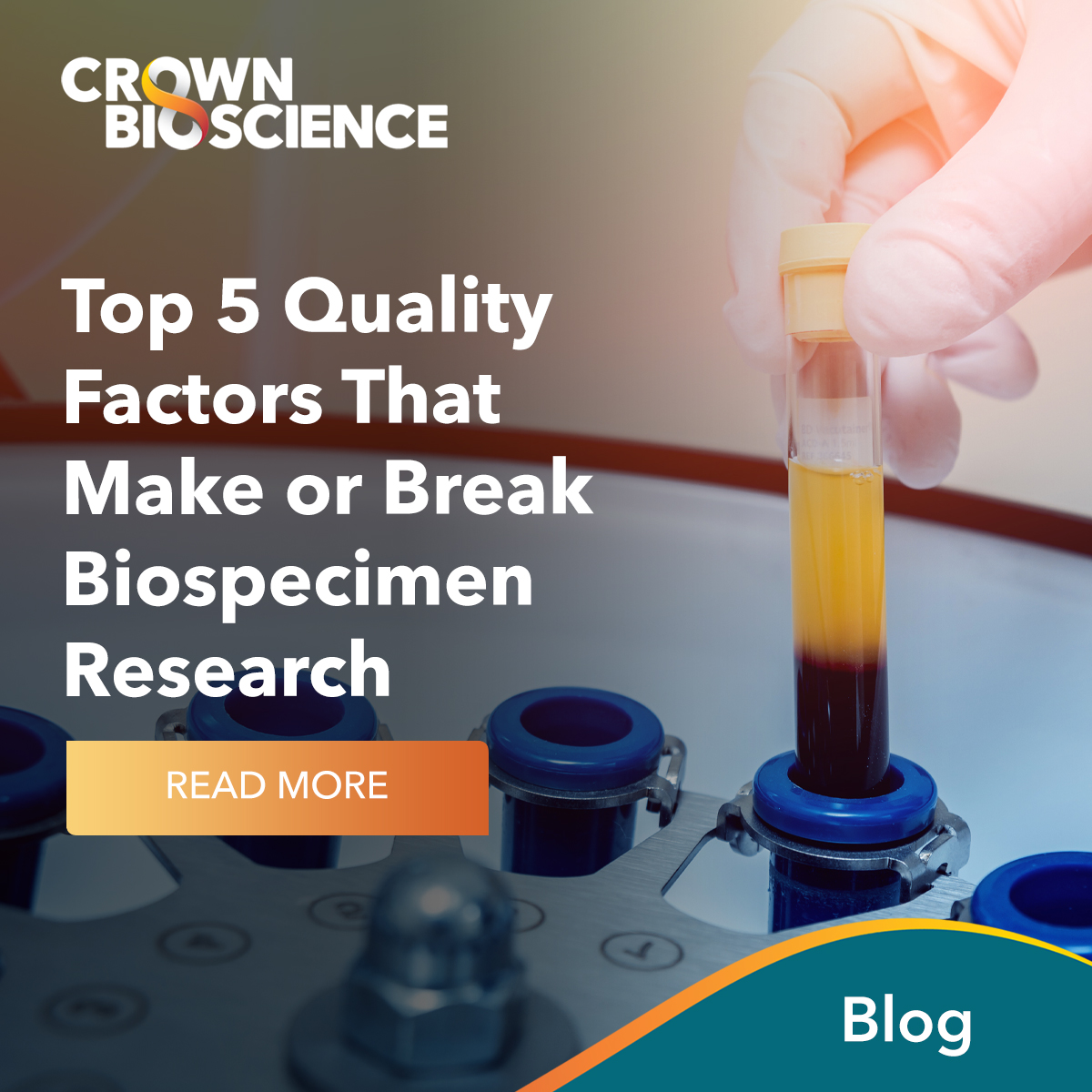 Biospecimen integrity is essential for generating accurate and reliable results that are reproducible and translatable. 
Our latest blog post highlights the five quality factors that research teams should be aware of: hubs.la/Q03CwQyY0