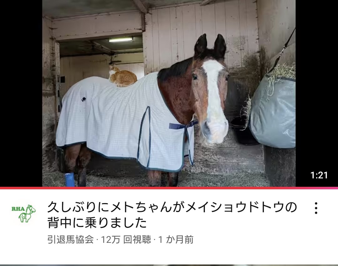 海猫亭。🍛 tweet media