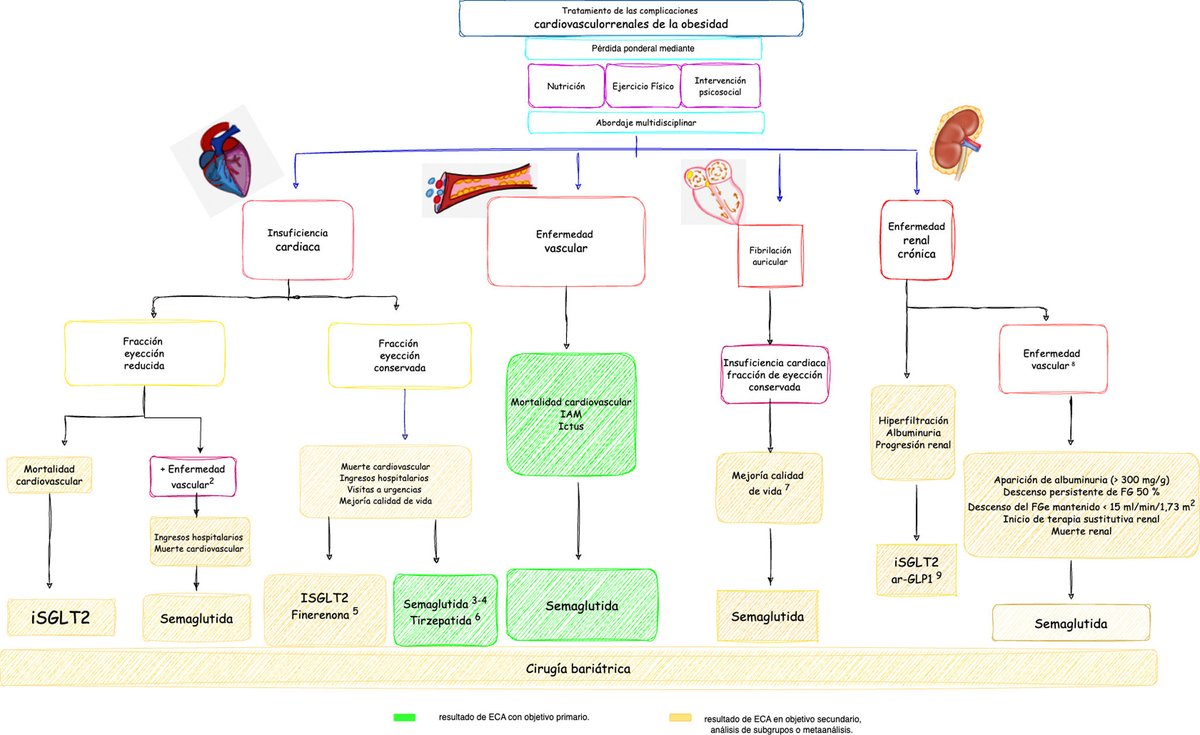 Actualización del posicionamiento sobre obesidad y enfermedad cardiovascular y renal de las Asociaciones de Cardiología Preventiva, Cardiología Clínica e Insuficiencia Cardiaca de la SEC #reccardioclinics <a href="/almucastro01/">Almudena Castro Conde</a> <a href="/Dr_Manito/">Nicolas Manito</a> reccardioclinics.org/es-actualizaci…