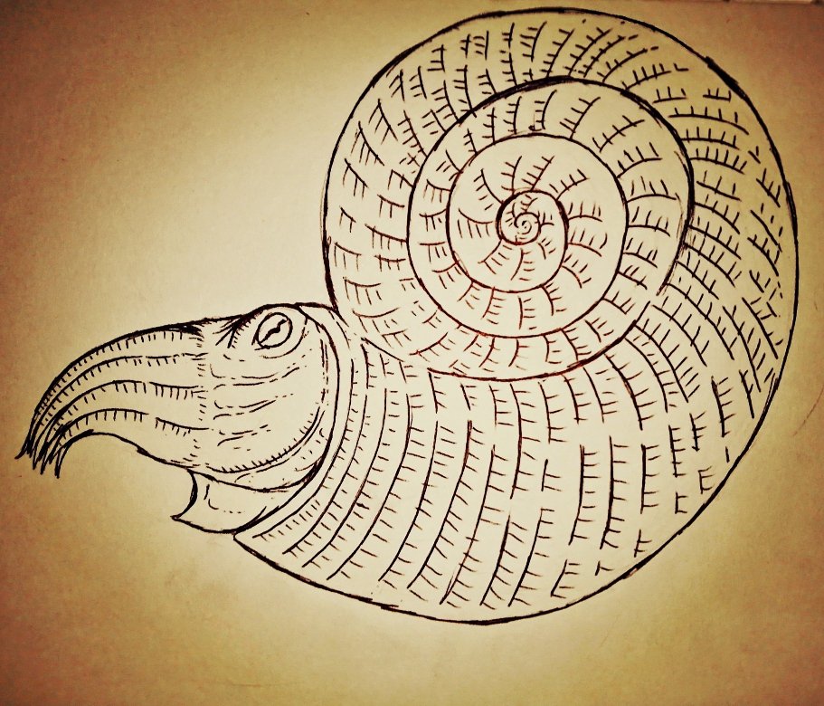 john_bernasol's tweet photo. And last one for my Series 1 is the Ammonite!! #Primeval https://t.co/Cyg5l0SpHG