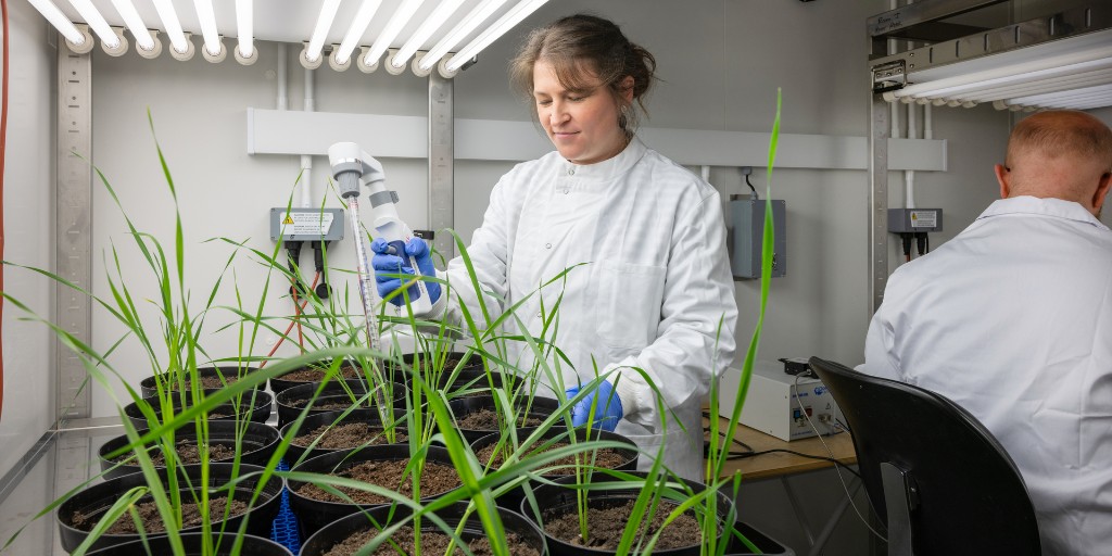 Help shape tomorrow's Sustainable Imperial Strategy ♻️

What does sustainability mean to you? How can we bring our goals to life? Take our survey and share your thoughts - it takes just ten mins 🕰️

Deadline: 30 Sept (Imperial login required)

imperial.ac.uk/sustainability…