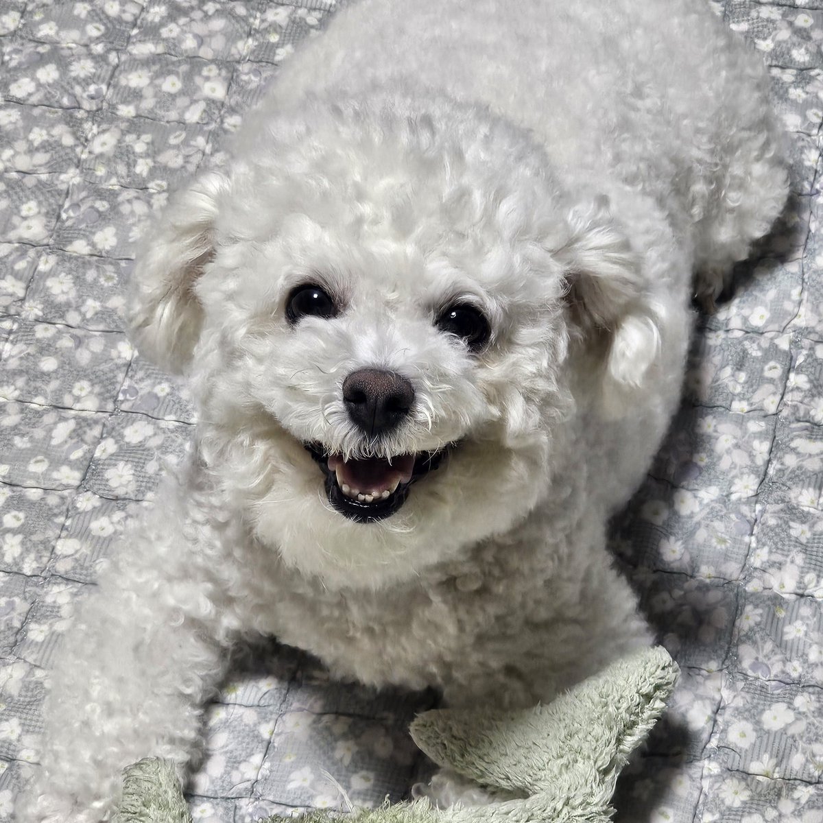 아기가 나를 이러케 보면 사랑에 빠질 수밖에 없는고얌