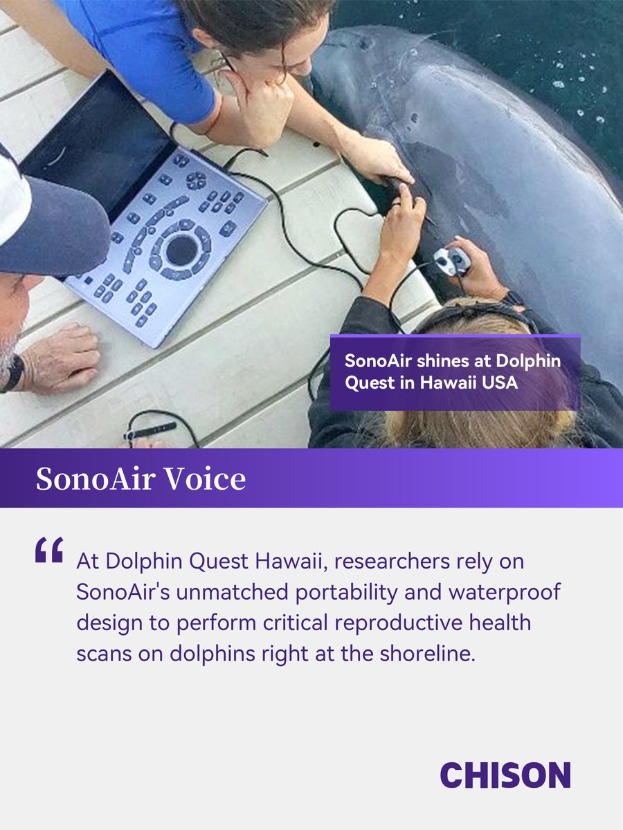 chisonmedical's tweet photo. Experts worldwide trust SonoAir for its perfect balance of portability and diagnostic-grade imaging. In our #SonoAirVoice series, leading clinicians share how this compact powerhouse enhances their daily practice across specialties.
#PortableUltrasound #CHISON #SonoAir https://t.co/vaB53VXnRp