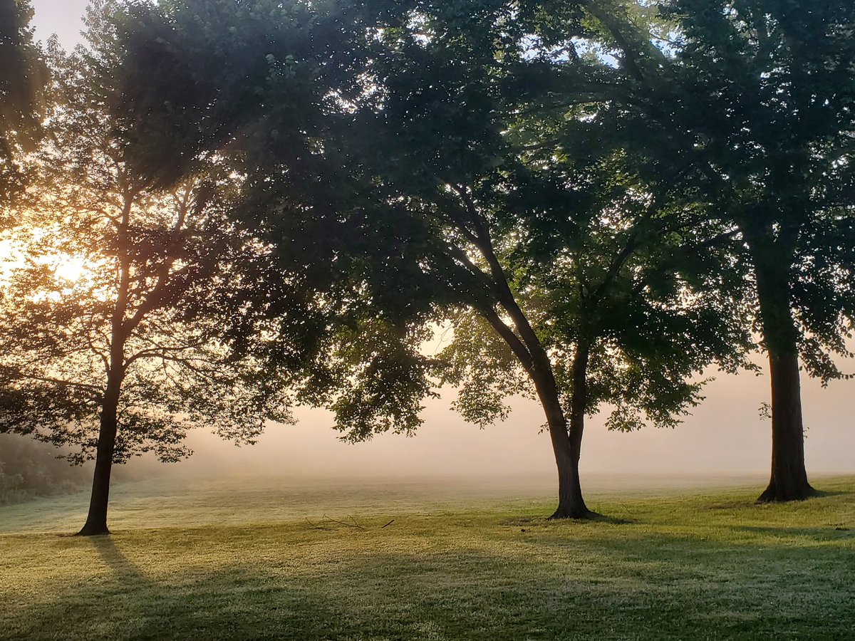 The fog this morning is thick.