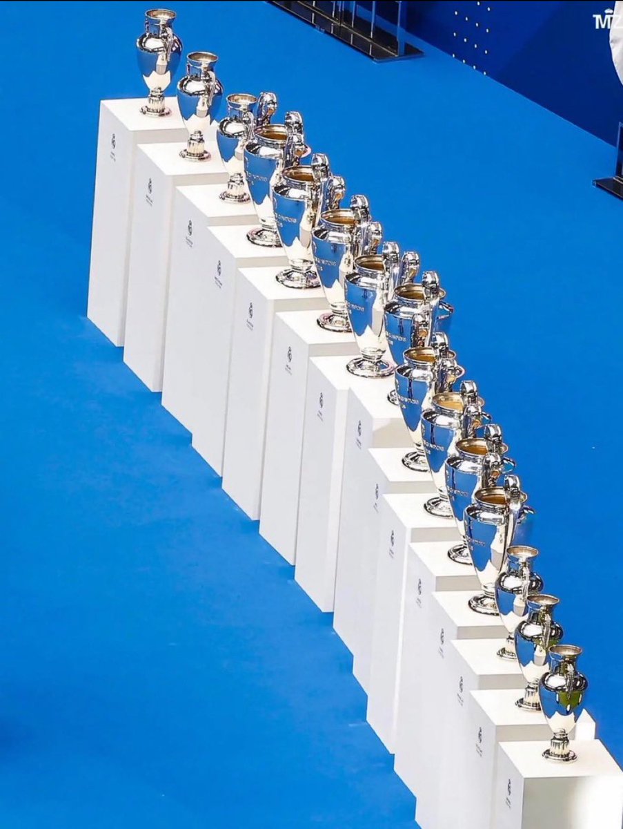 uncletshephi🦁 tweet media