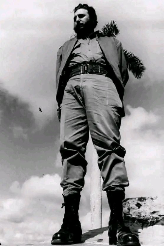 Grande de estatura y dr ideas. Tú ejemplo perdura.
#FidelPorSiempre 
#Aniversario99
<a href="/MincinCuba/">Comercio Cuba</a> 
<a href="/BetsyDazVelzqu2/">Betsy Díaz Velázquez</a>