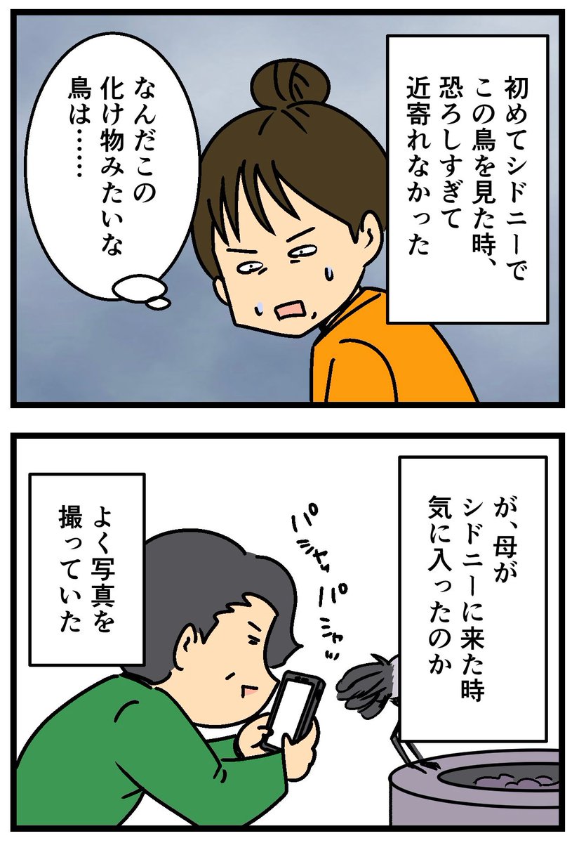 オーストラリアの鳥、『ビンチキン』(2/2) 