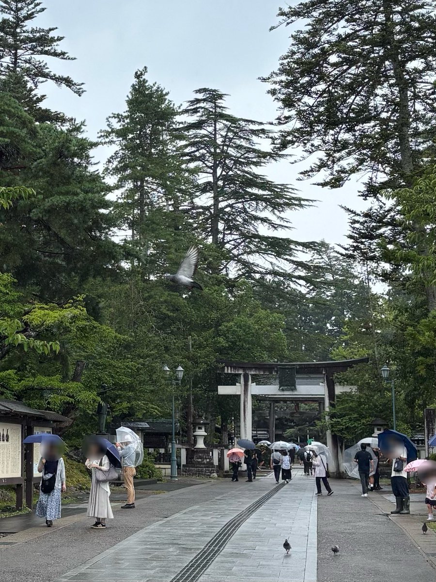 mur01k's tweet photo. 山形県米沢市へ観光ドライブしました
駅弁「牛肉どまん中」はめちゃおいしい

#cx5 
#withmazda 
#米沢
#上杉神社 https://t.co/PU5Ee85GLz