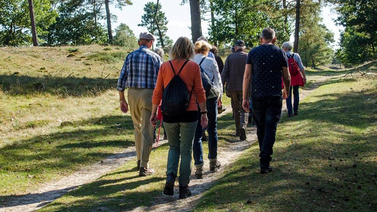 Zomerwandeling Drents-Friese Wold -  rtvmeppel.nl/zomerwandeling…