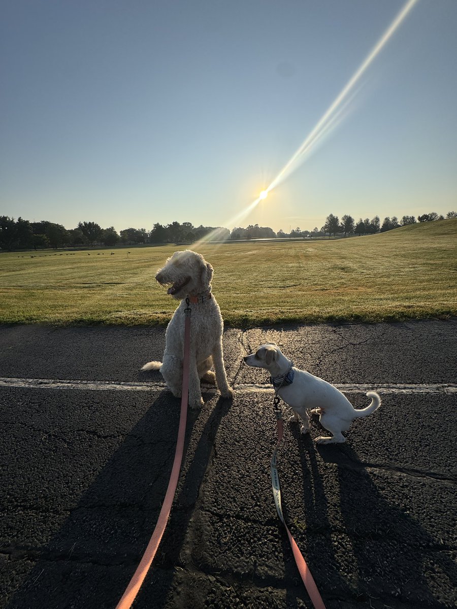 Laura Corey tweet media