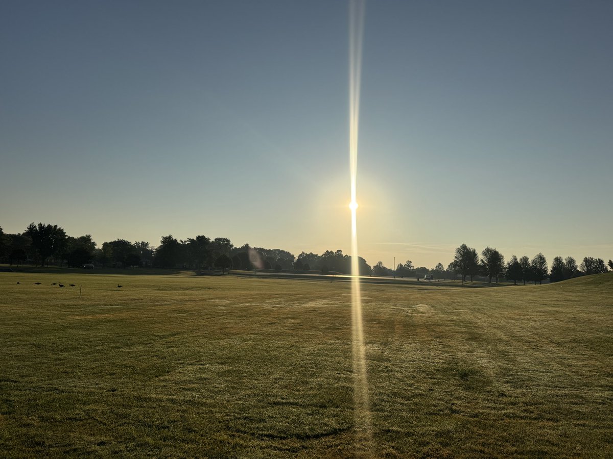 Laura Corey tweet media