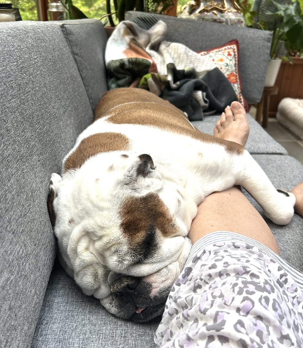 When you have an emotional support human.