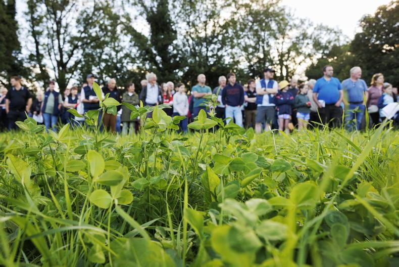 farmersjournal's tweet photo. Doubling weanling winter gain without meal. ⬇️

For Co Cork suckler farmer Kay O'Sullivan, inclusion of red clover silage in her weanlings winter diet saw them double their growth rate over the winter period without the use of concentrates.

Read more: https://t.co/NgoQWIRvQf https://t.co/CqyGbT1z4p