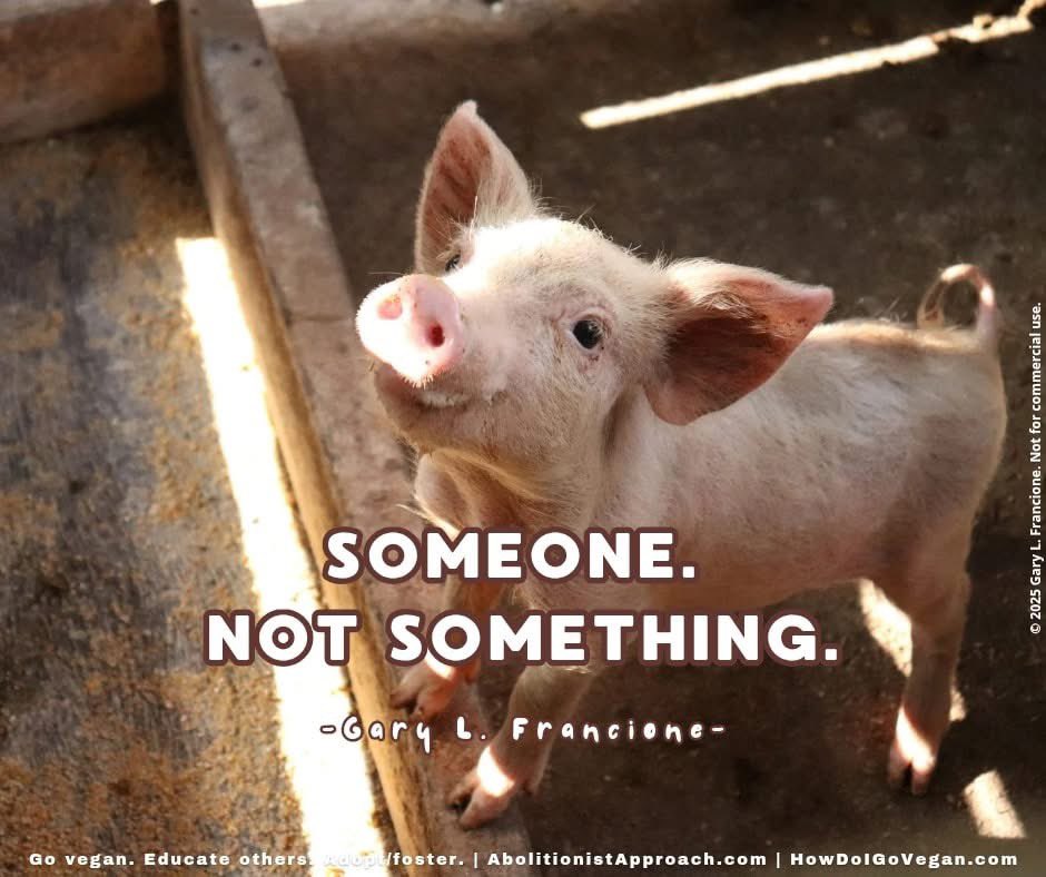 AbolitionistApproach.com
HowDoIGoVegan.com