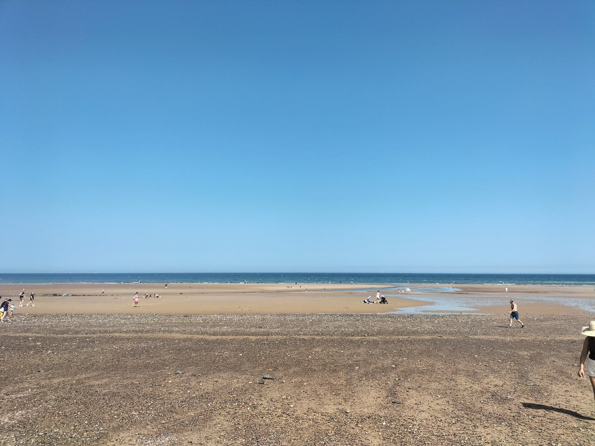 Mr Davies tweet media