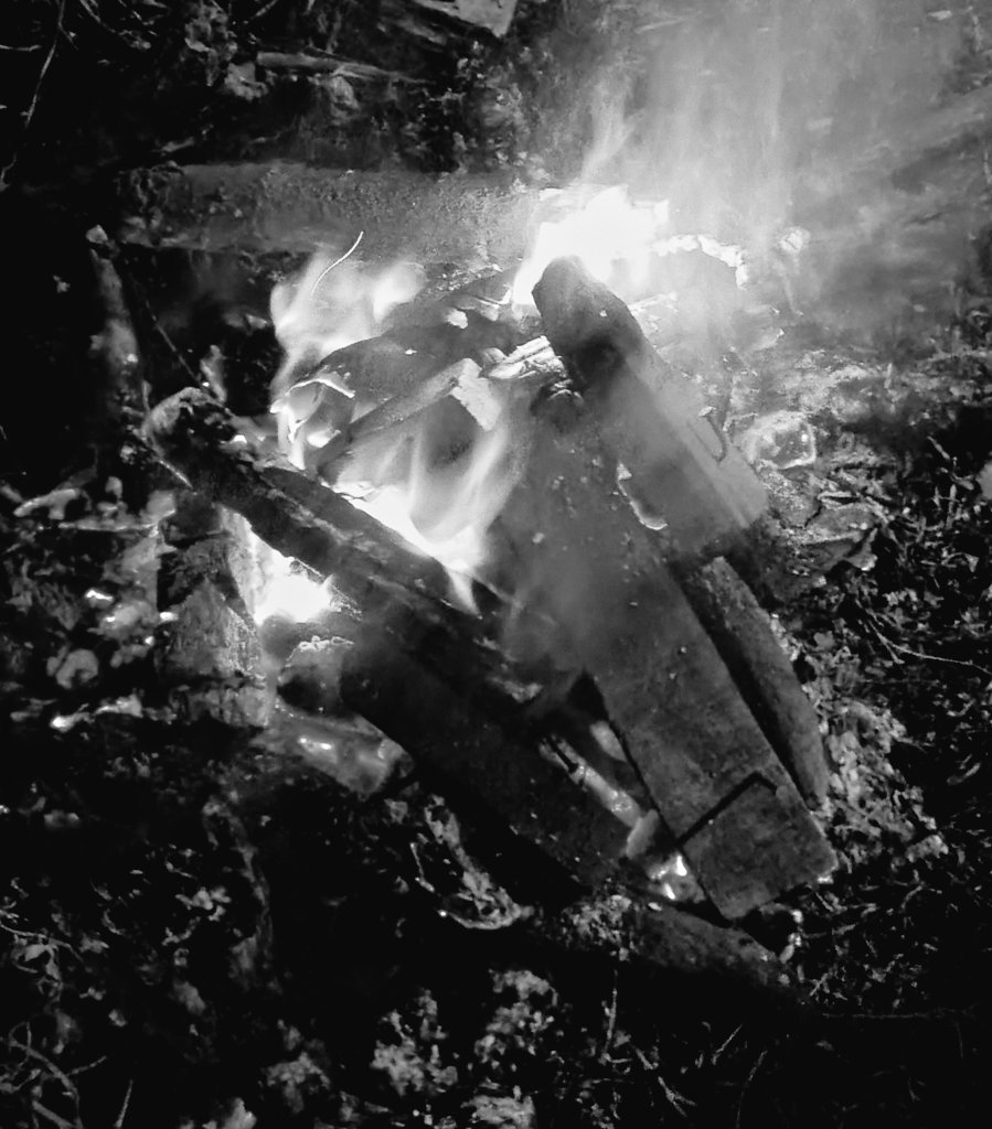 api tiktok pindah kesini