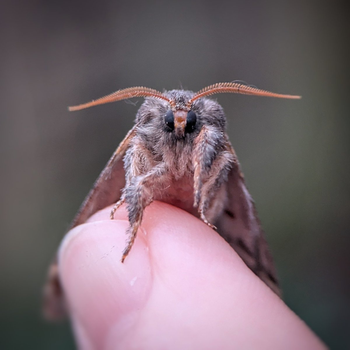 Caron Blay tweet media