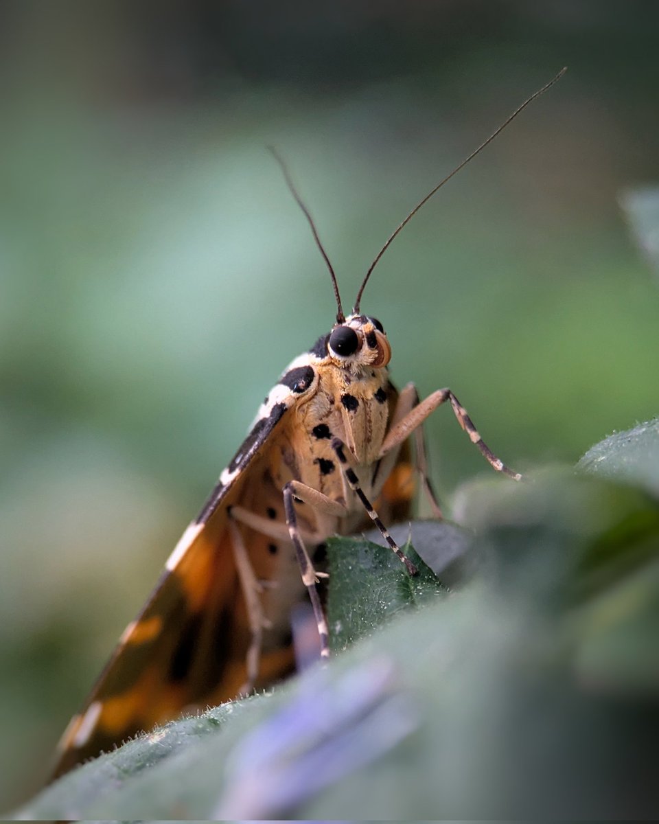 Caron Blay tweet media