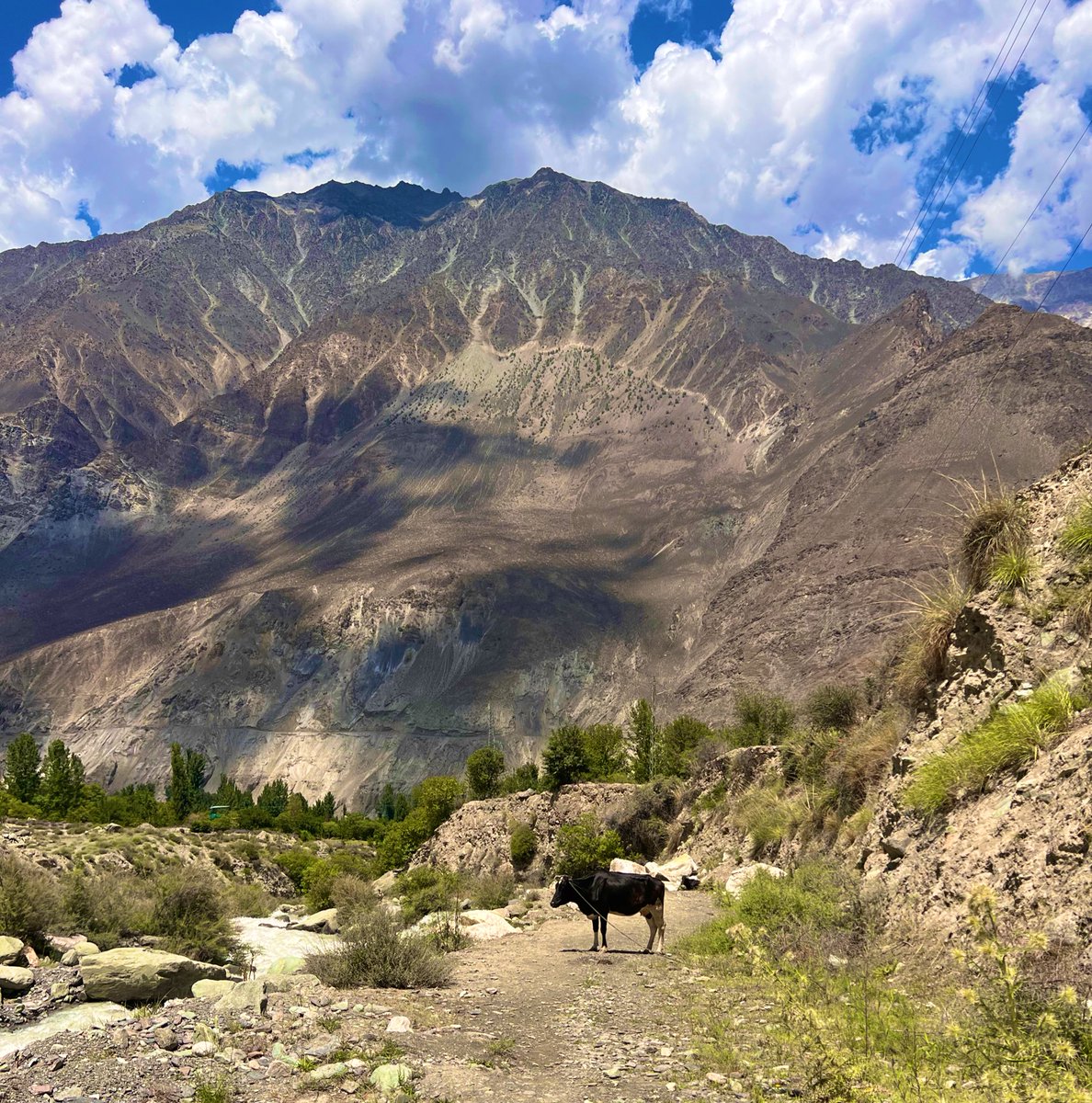 axsha____'s tweet image. “Had We sent down this Quran upon a mountain, you would have certainly seen it humbled and torn apart in awe of Allah.”