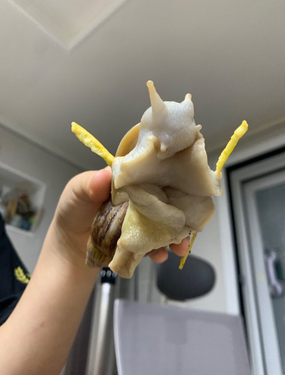 🐌아카이빙 tweet media