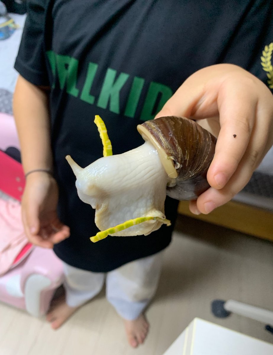 🐌아카이빙 tweet media