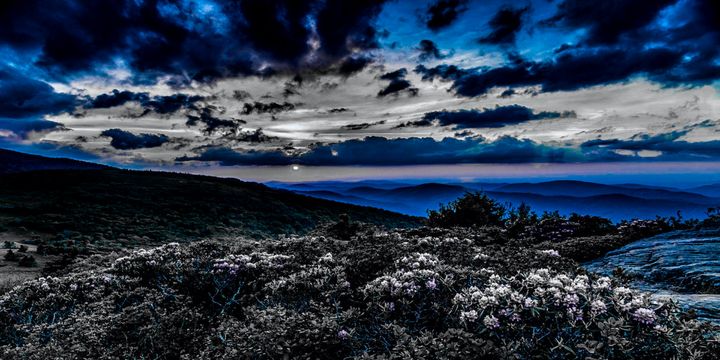 CapCityChef's tweet photo. Art of the Day: "Mountain Blues". Buy at: https://t.co/eBo0FoRmDF https://t.co/771puhD2zg