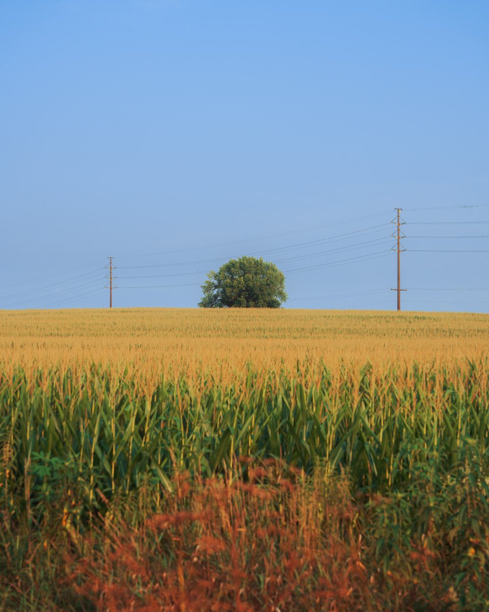 Chris Malchow tweet media