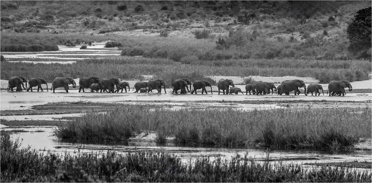 Robert A Evans tweet media