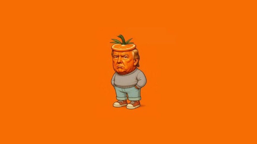 Cryptopublican's tweet photo. @MrBabyWhale #OrangeGuy https://t.co/3D3SrC00FR