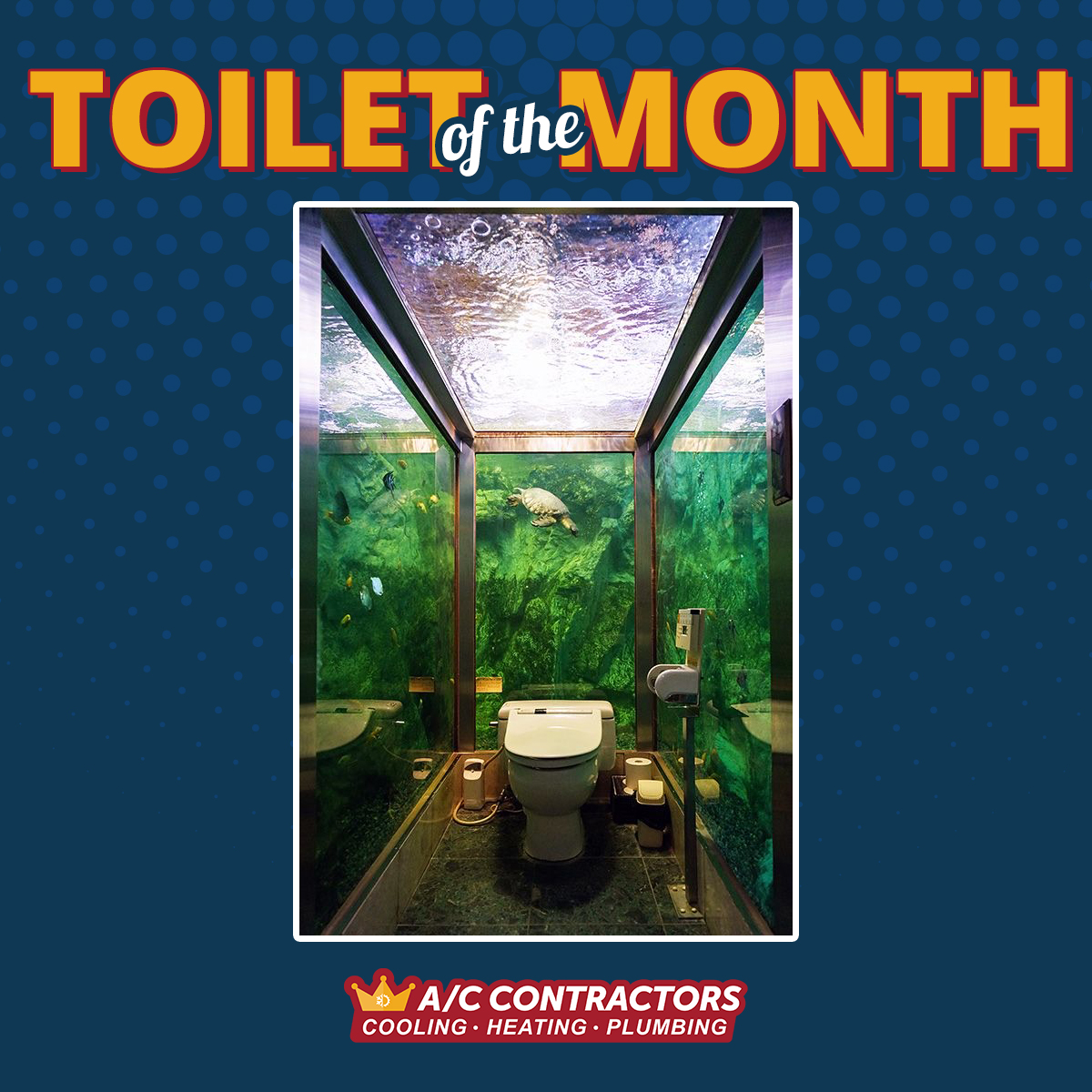 accontractorstx's tweet photo. Our Toilet of the Month for August is making waves—literally! Dive into this underwater escape and do your business surrounded by sea life. 🐢🚽 https://t.co/zLTGNsLslL #ToiletOfTheMonth #ACContractors https://t.co/OKnxubnnk6