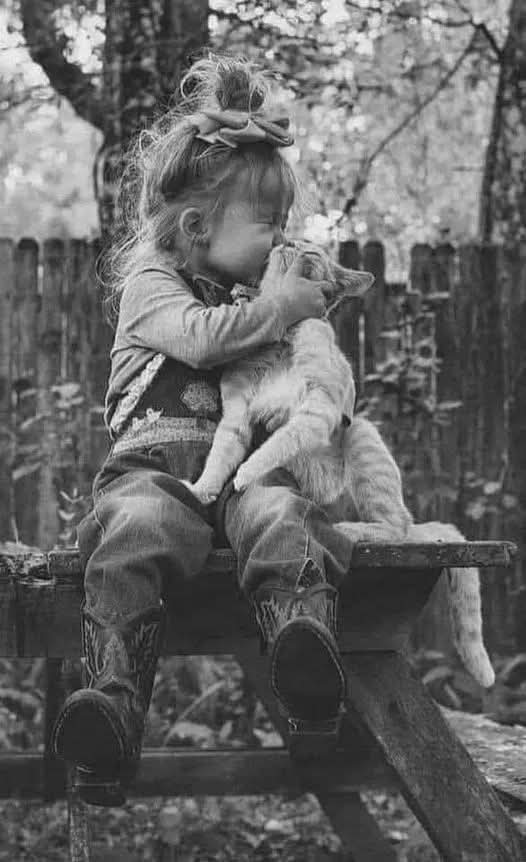 "Nosotros escogemos a quién dejamos entrar en nuestro mundo".

El indomable Will Hunting (1997)