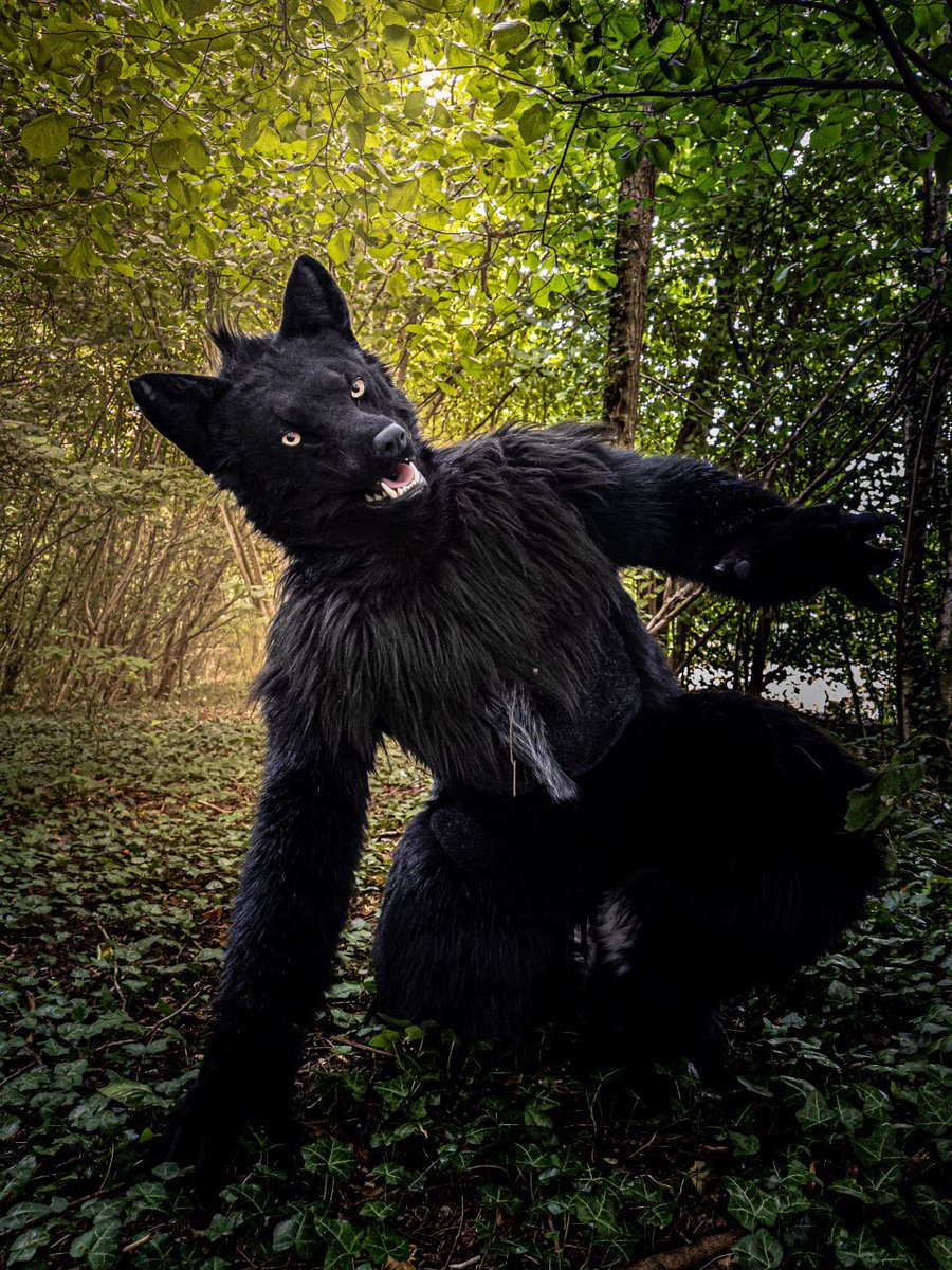 CyberWorkss's tweet photo. - Adjusted tail (upgraded to tail with longer black fur and white base) Original Tail made by Shiro Costume
- Adjusted head (replaced neck, long black hair, new lined zipper). Original head by LunarForest
- Handpaws by LunarForest

A good recepy to become a real werewolf!🐾
2/2 https://t.co/TewlyQClCX