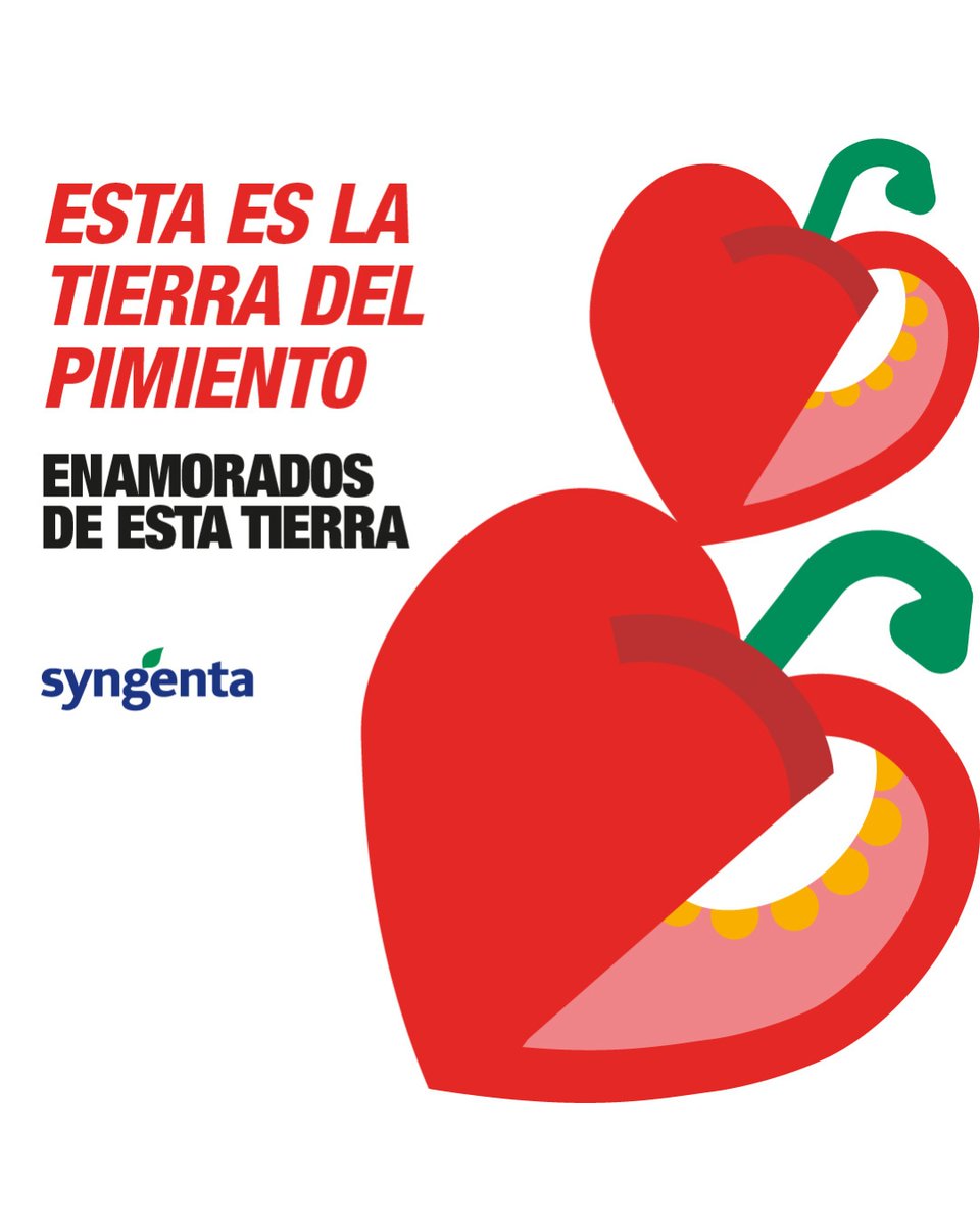 🫑 El pimiento es una hortaliza que lleva más de 500 años formando parte de nuestra historia, nuestra cocina y nuestra identidad.

En la campaña #EnamoradosDeEstaTierra celebramos la calidad de este alimento cultivado en Almería y la Región de Murcia.