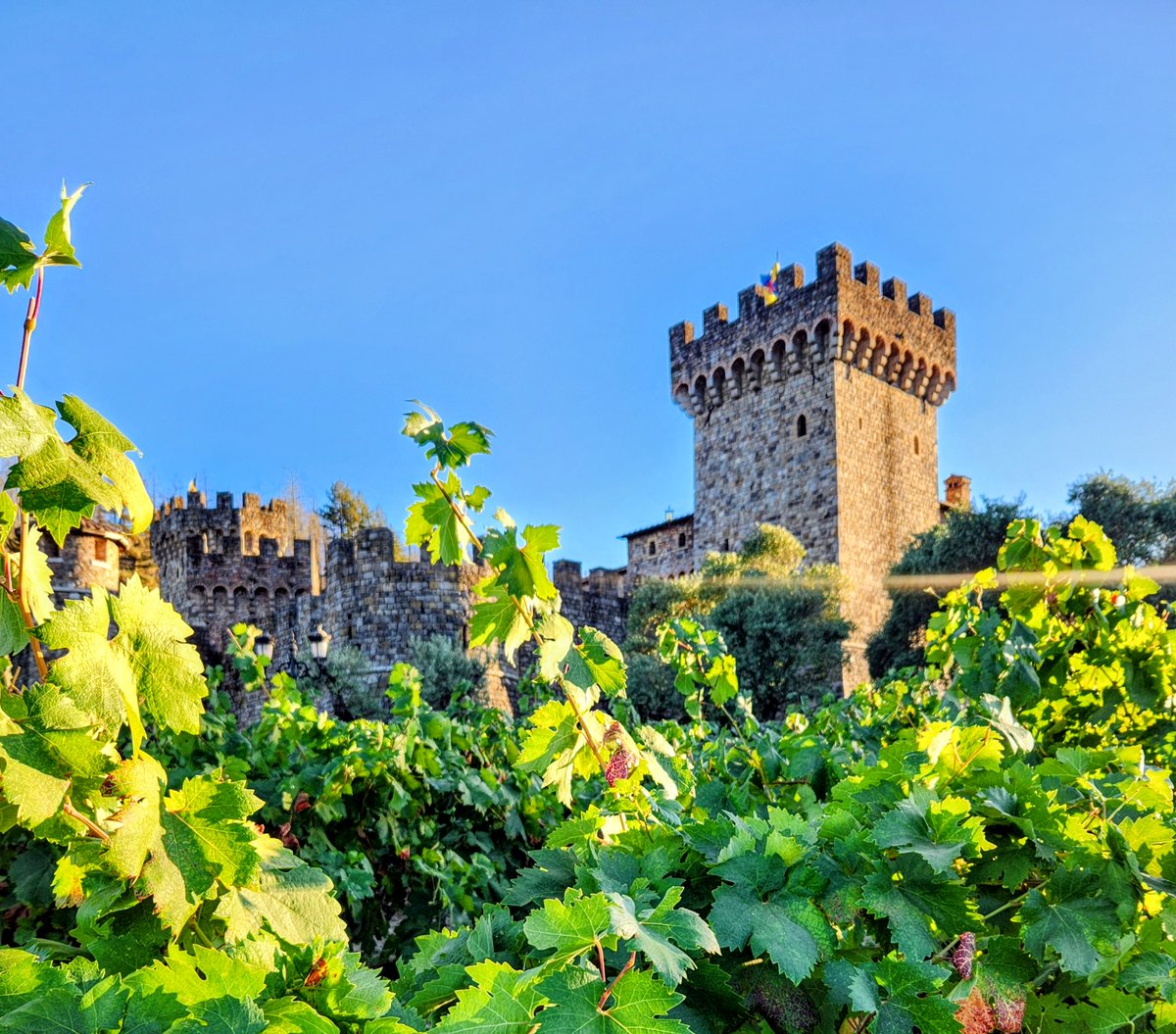 magdalenasaldan's tweet image. Another fulfilling #AEJMC experience! 
Research at the conference, wine in #NapaValley, Weymo in #SanFrancisco, friends from all over the world. Looking forward to next year in #NewOrleans 🥳

@AEJMC @fcomuc @NucleoMEPOP @IMFDChile