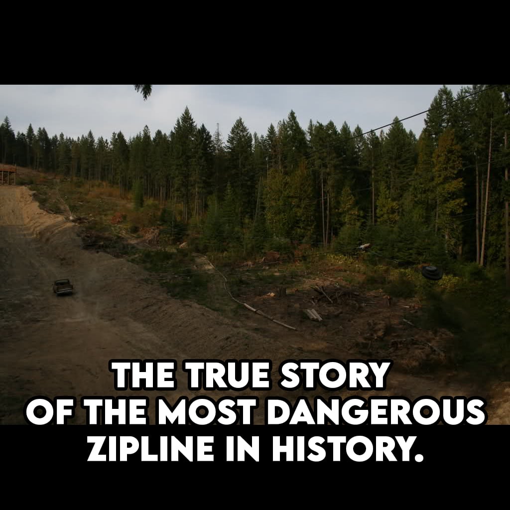 I'M FROM THE INTERNET tweet media